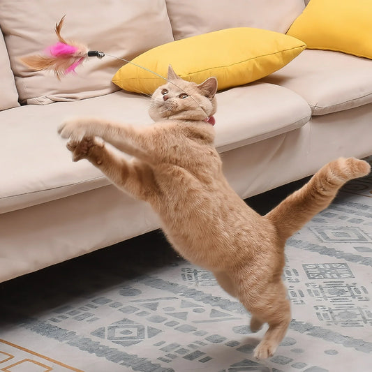Cat Collar Feather Bell Toy - Self-Happiness Relief | Fun & Games - PurrPals