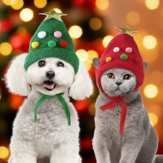 Make your pets holiday-ready with this adorable festive hat & scarf combo! 🐾🎁